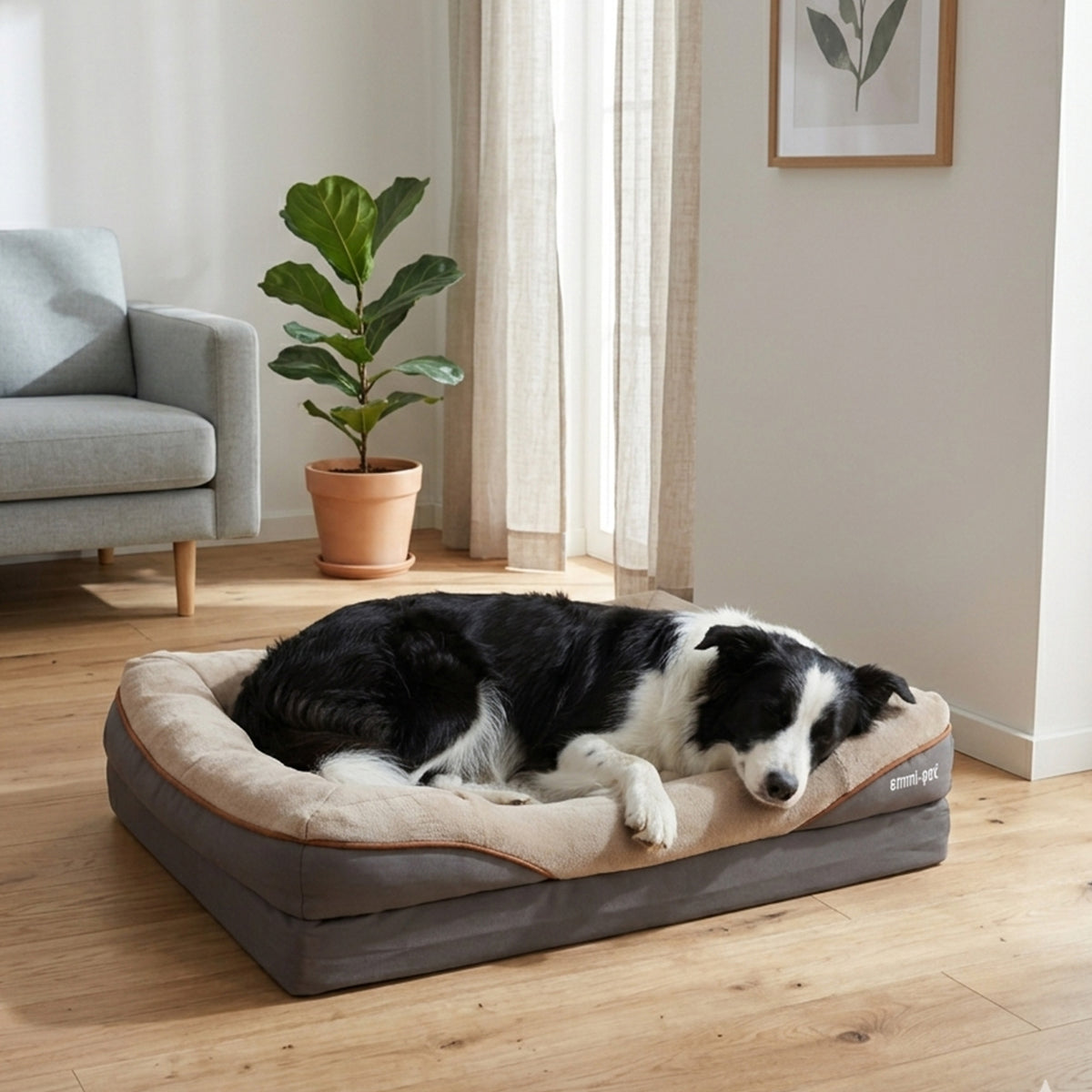 Orthopädisches Hundebett