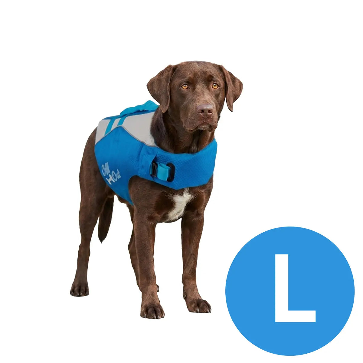 gilet de sauvetage pour chien