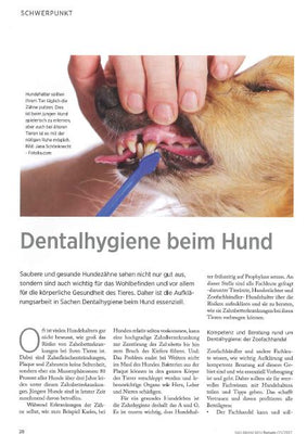 DAS BRANCHENFORUM