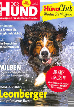 DER HUND