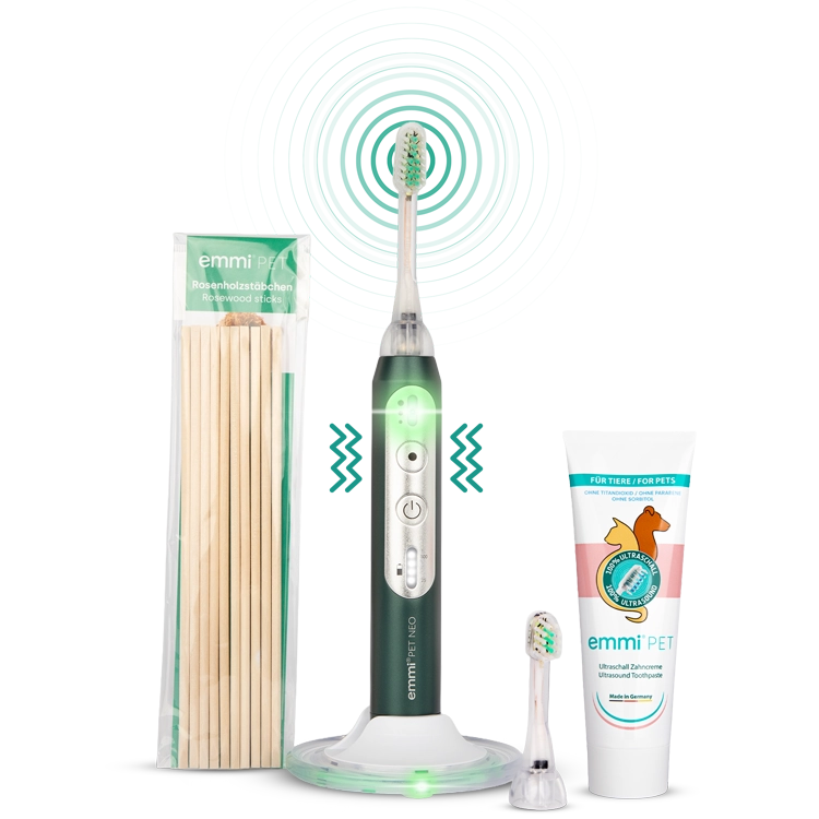 Ultraschallzahnbürste NEO