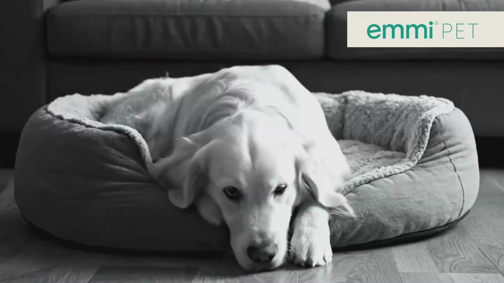 Orthopädisches Hundebett ASTRO Beige